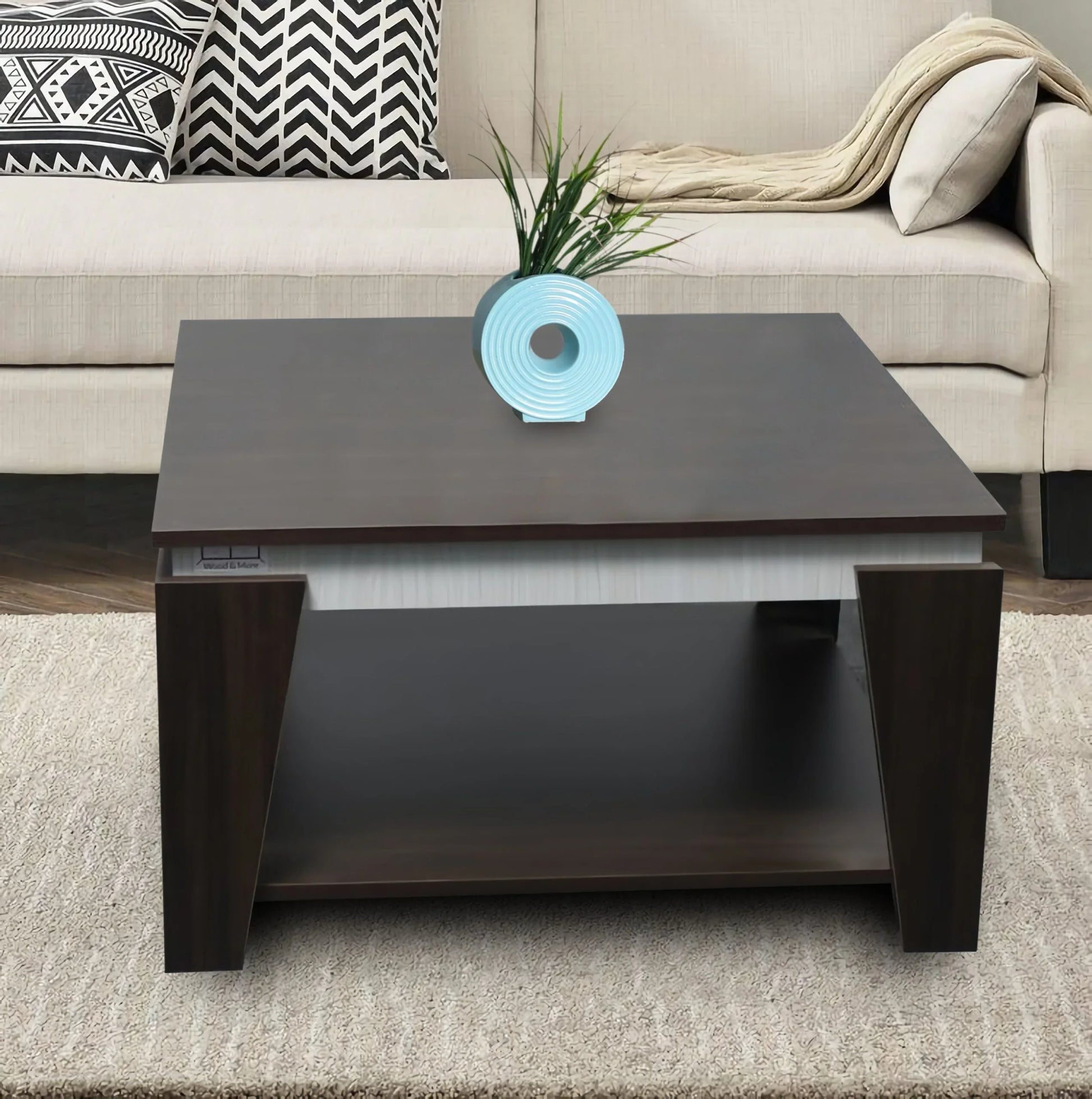 Coffee Table 100x60x45 - Cataloug