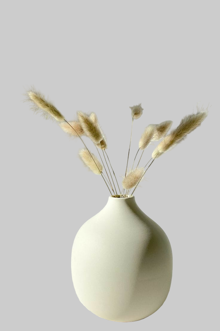 White vase with dried plants on a light background