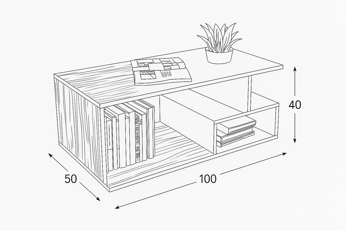 Coffee table 100x50x40