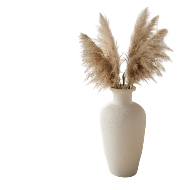White vase with dried pampas grass against a plain wall
