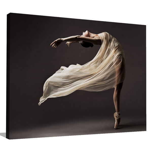 Decorative Canvas Wall Art - Multi Size