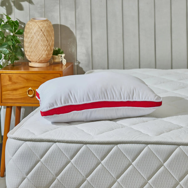 Ostrich Feathers Hight Pillow -Double net fabric- 40x60 cm